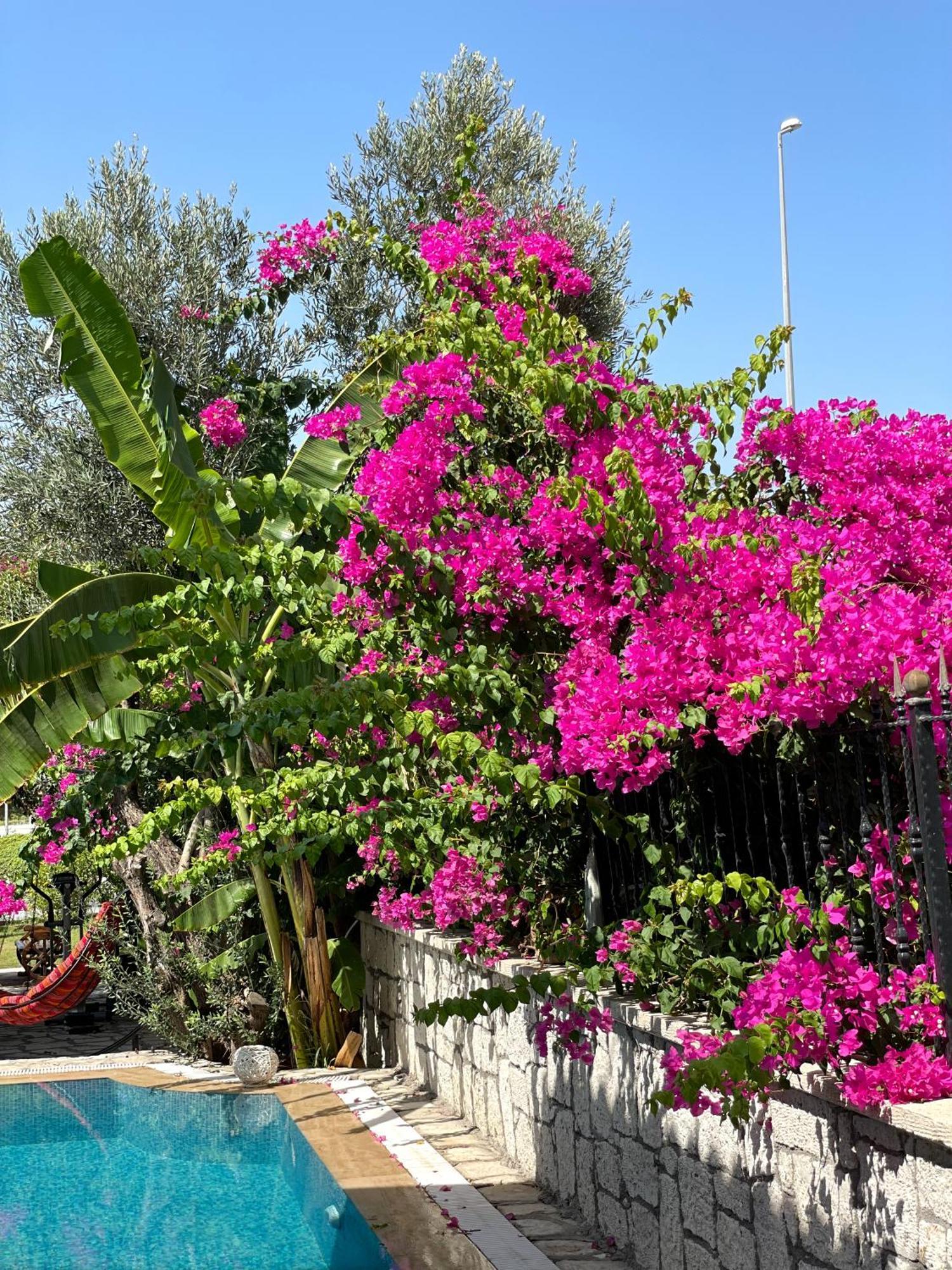 Ata Boutique Hotel Çeşme Εξωτερικό φωτογραφία