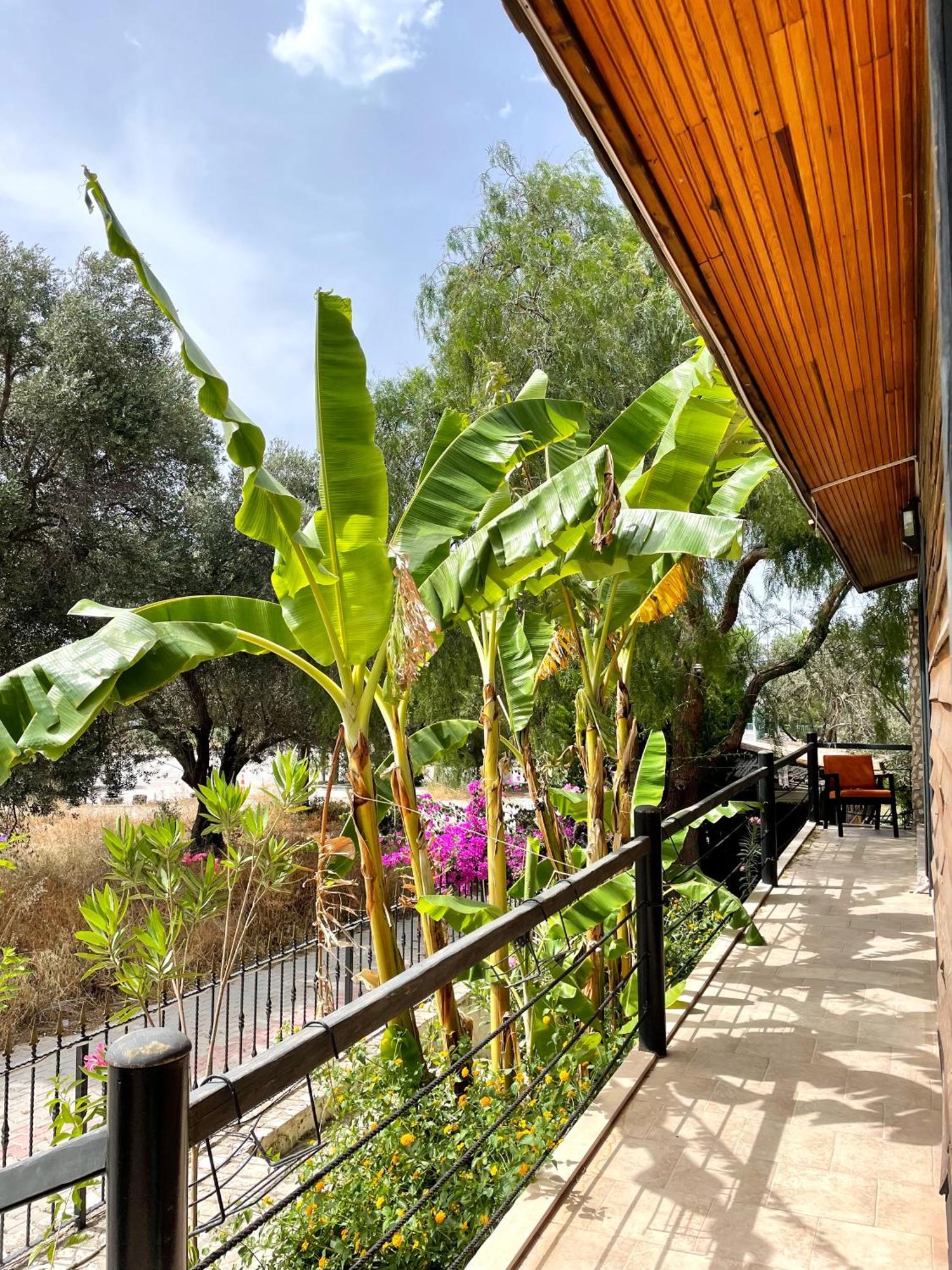 Ata Boutique Hotel Çeşme Εξωτερικό φωτογραφία